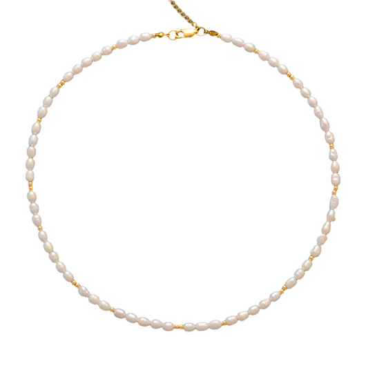 Ivory Freshwater Pearls Curb Choker Necklace