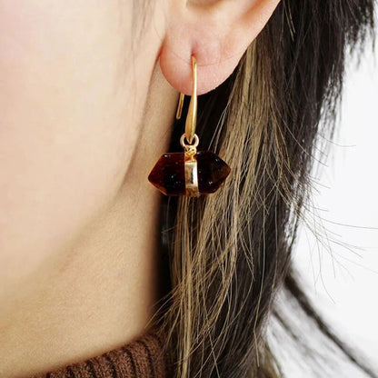 Hexagon Tiger Eye Dangle Earrings