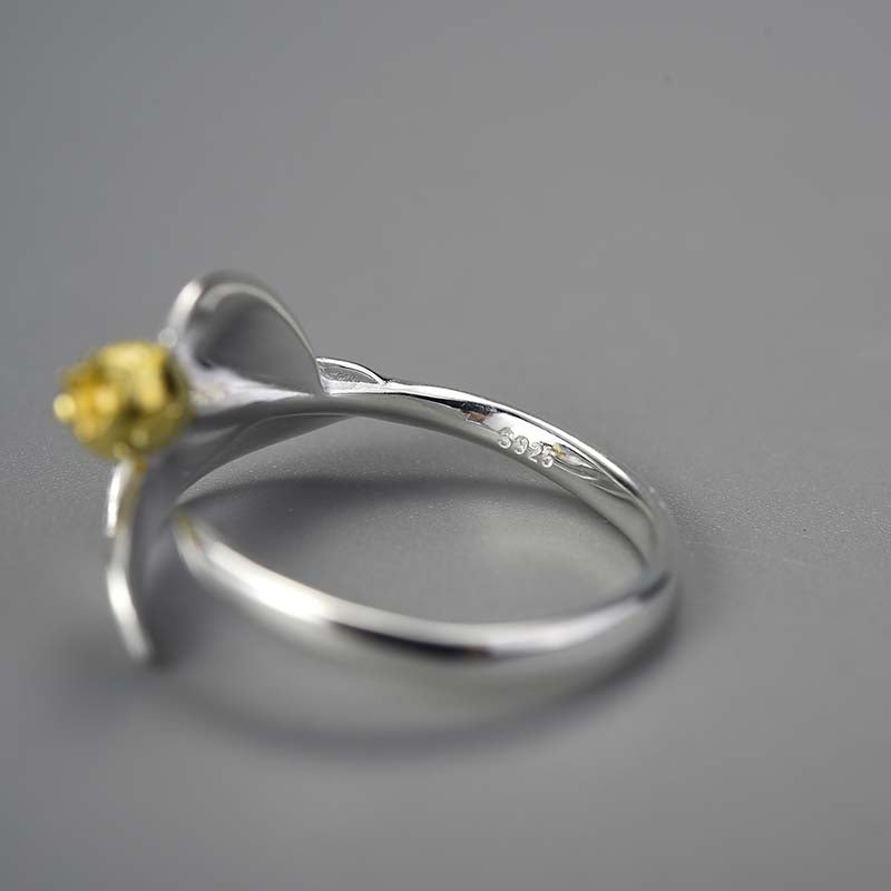 Pomegranate Fruits Leaves Branch Adjustable Ring