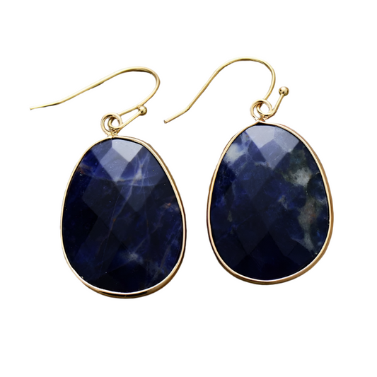 Ethnic Sodalite Hook Dangle Earrings